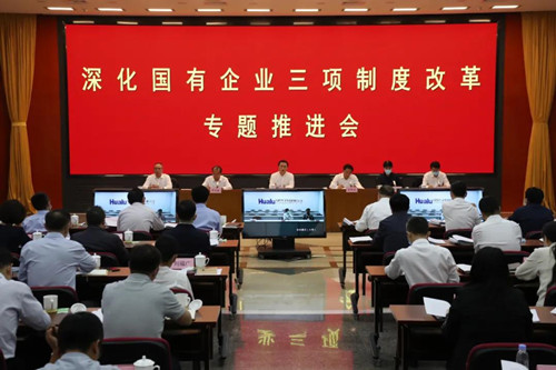 1623054753303037439.jpg 微信图片_20210604141822_副本.jpg