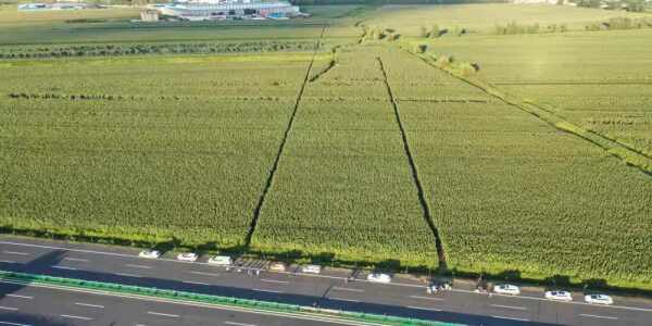 2021-8-30吉林省中部城市引松供水二期工程农科支线外业测量工作有序开 (2).jpg