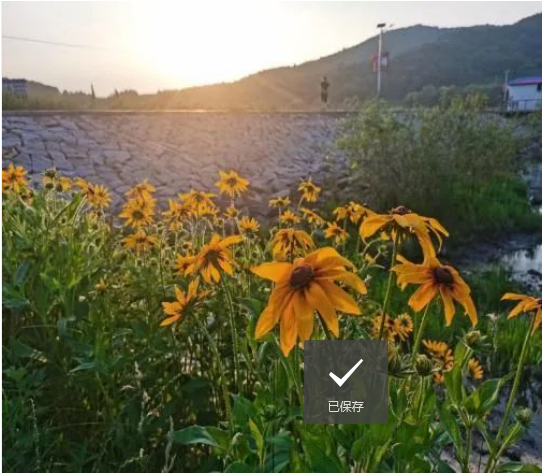 1660638007042000645.png 555.png