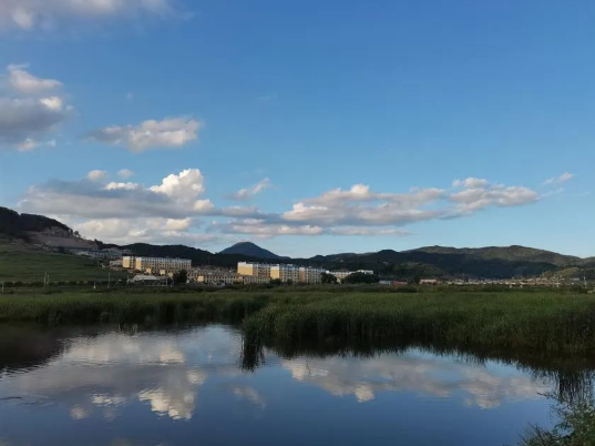 1660638009833090245.png 666.png