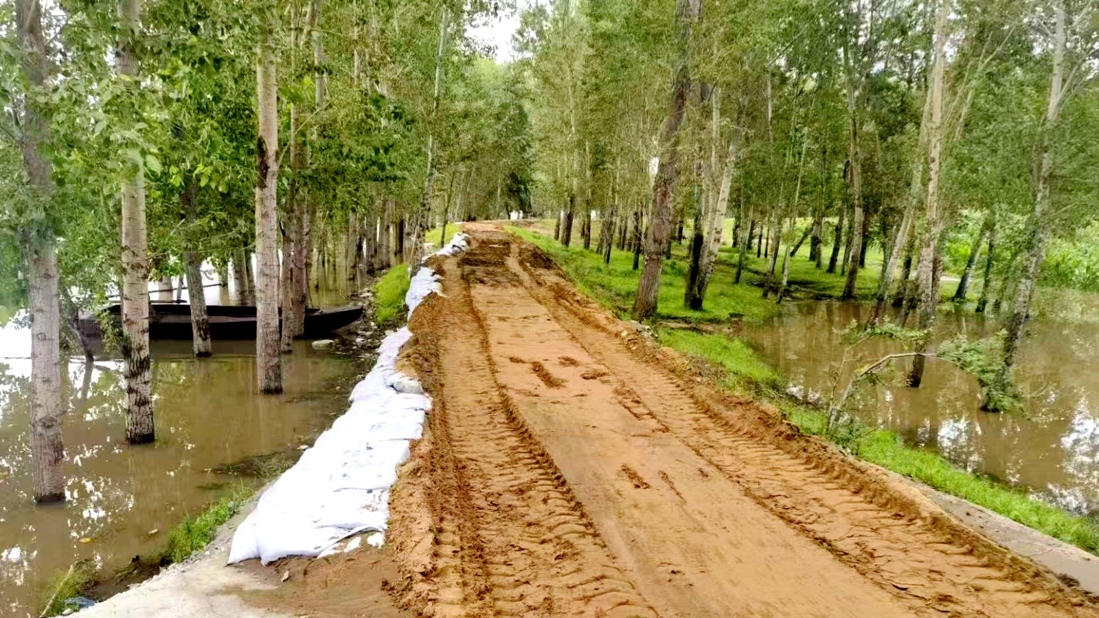 1723110060091030811.jpg 微信图片_20240808134101.jpg